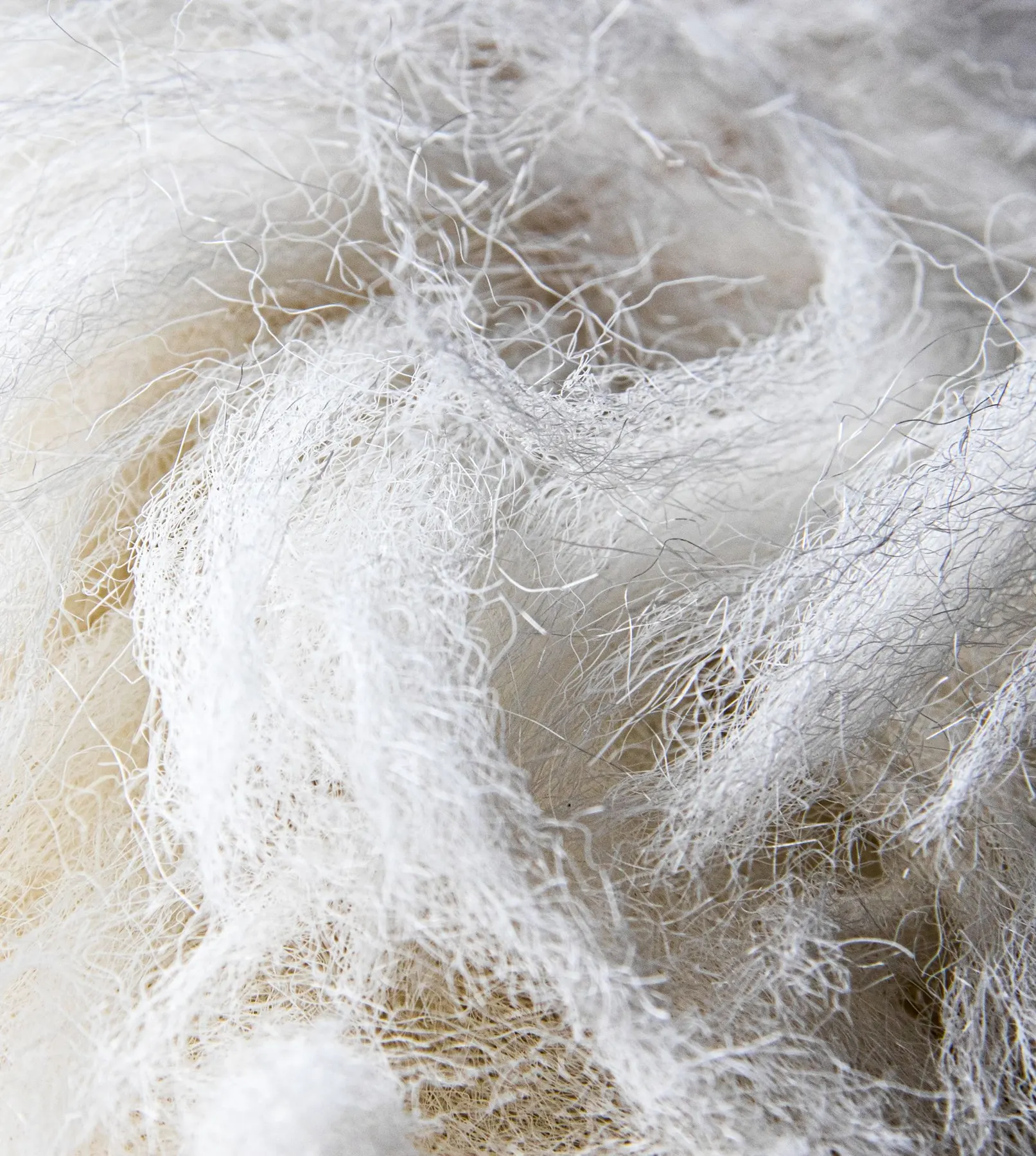 Thick dryer lint pulled out of a clogged vent